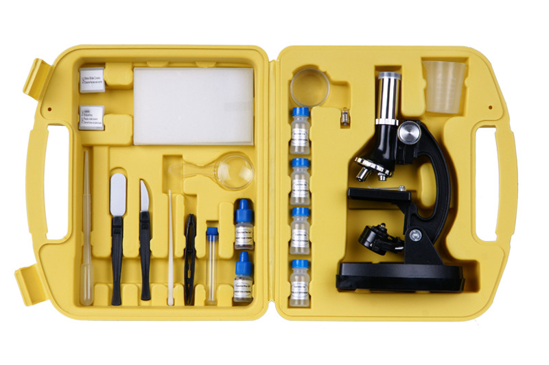 Lab Starter